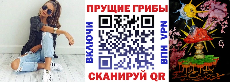 цены наркотик Коммунар kraken как зайти Галлюциногенные грибы Magic Shrooms
